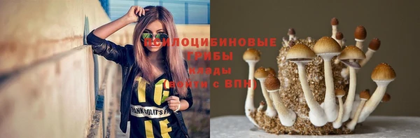 гидропоника Баксан