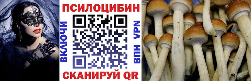 ОМГ ОМГ как зайти  Магас  Псилоцибиновые грибы прущие грибы 